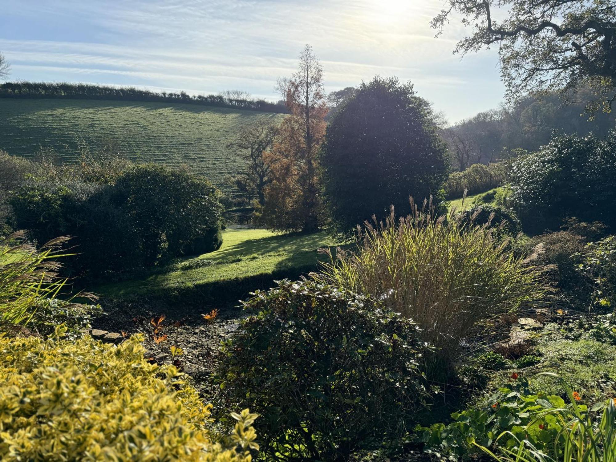 Greenswood Cottage - Cosy Cottage, Rural Location, Beautiful Landscaped Gardens With Pond And Lake دارتموث المظهر الخارجي الصورة